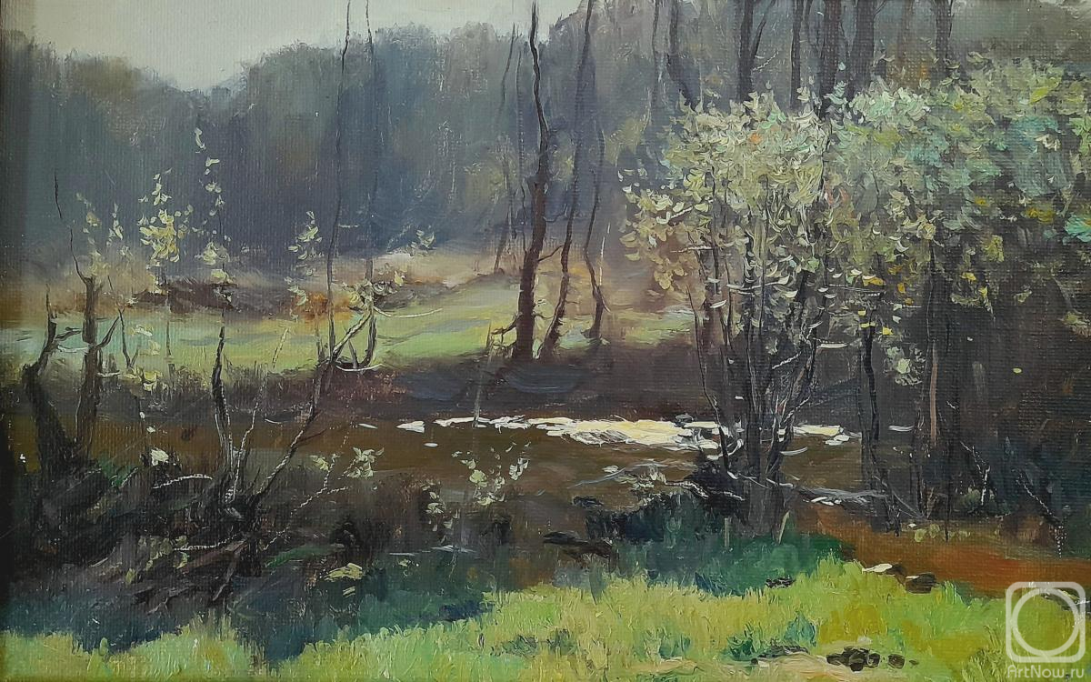 ������� ������ �� ������. ������� ����. ������� �.�. �������. ������ ������