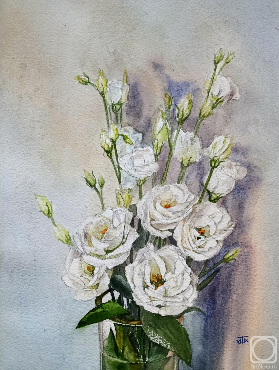 �������. �������� �����. ��������