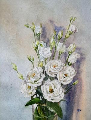 �������� (��������). �������� �����