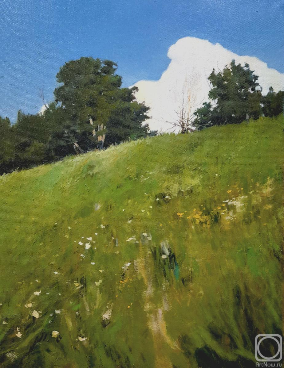 ������� ������ �� ������. ������� ����. ������� �.�. �������