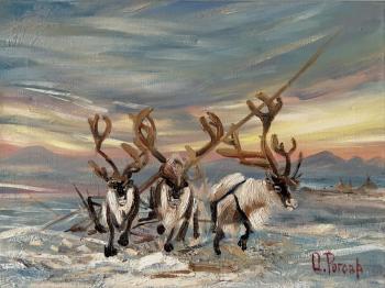 ������� ��������� ����� ����� �� ������