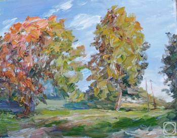 Untitled. Novikova Marina