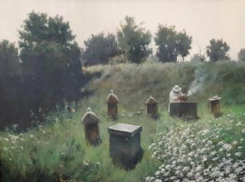 Artishchuk A.N. At the apiary (Beehives). Artischuk Artyom