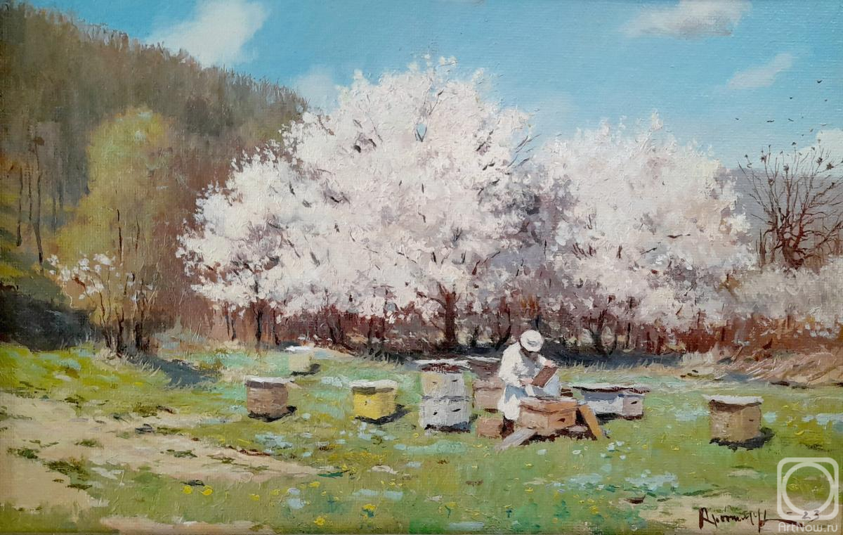 �������. ������� ����. ������� �.�. ����� ������