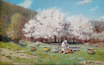 ������� �.�. ����� ������. ������� ����