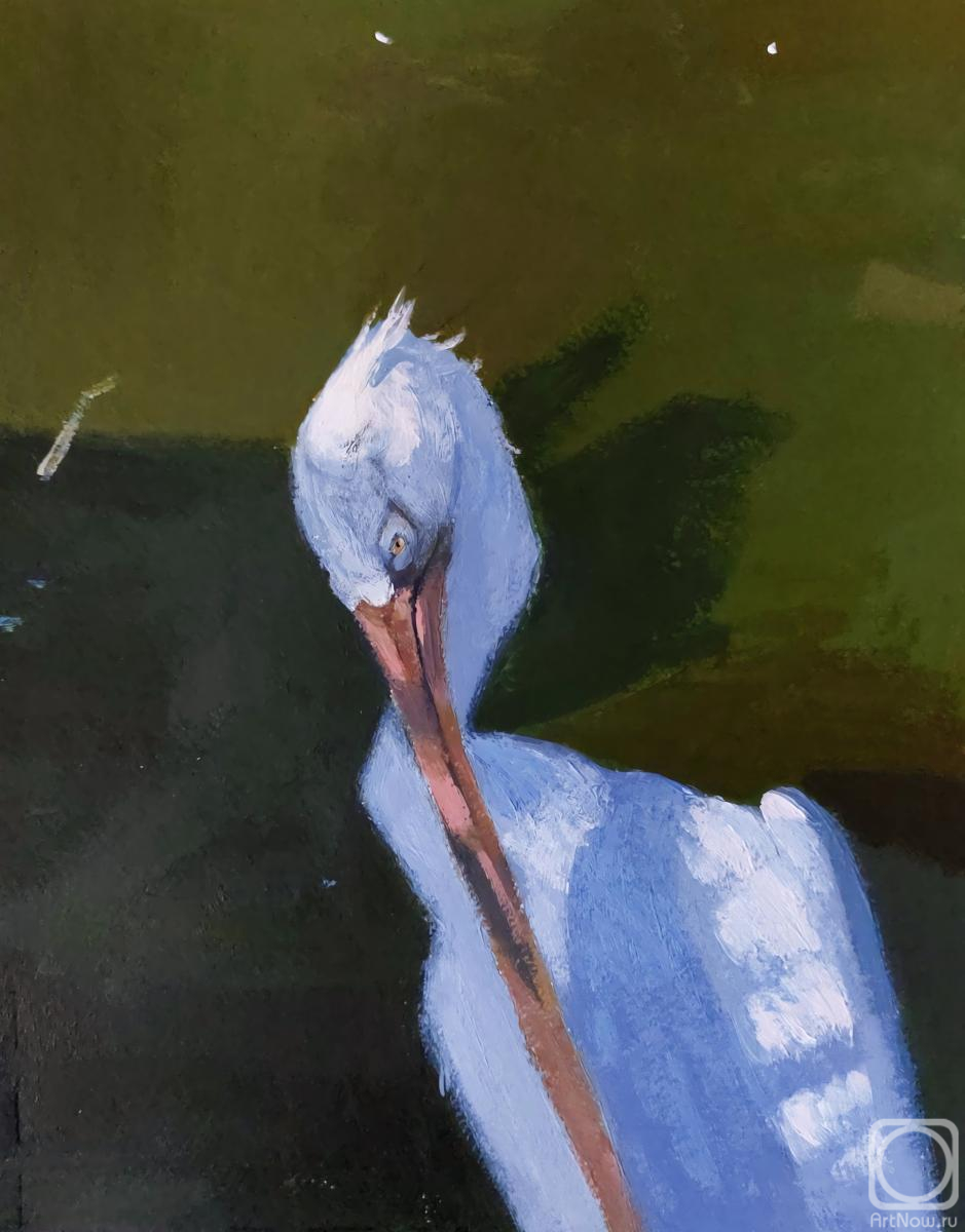 �������. ����� ���������. ����� �����