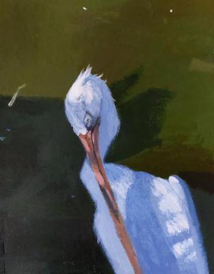 White Heron Bird. Dymsha Miloslava