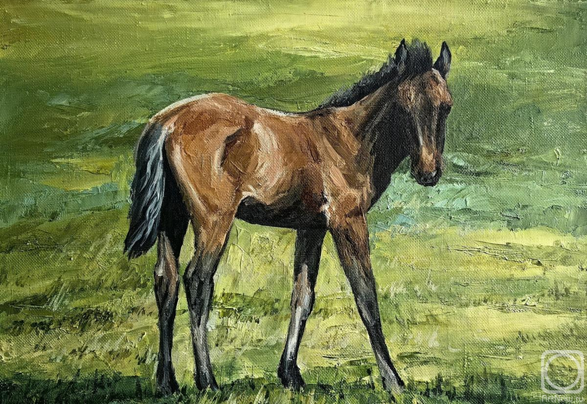 ������� ������ �� ������. �������� ������. ���������