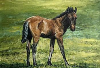 ���������. �������� ������