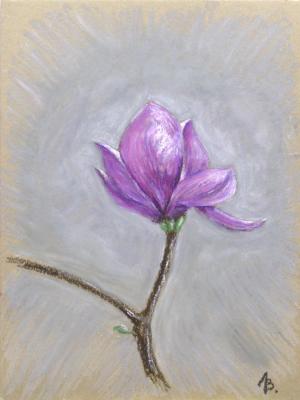 ��������. ������� ��������