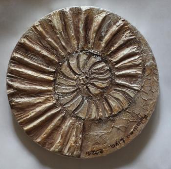 Ammonite. Paladina Liya