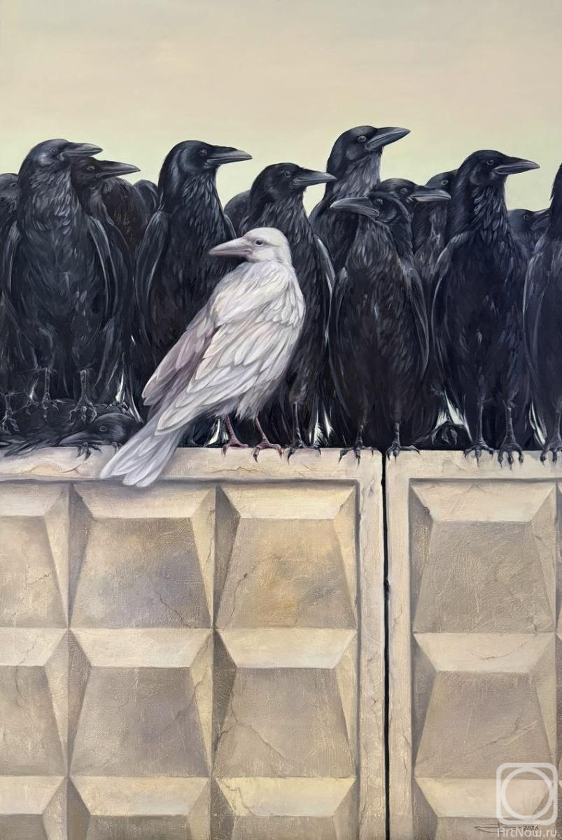 ������� ������ �� ������. ���� �����. �������� ����������