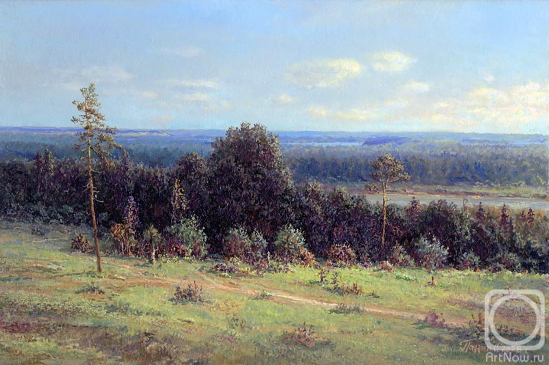 Panin Sergey. Russian expanses