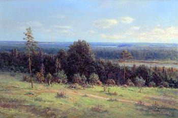 Russian expanses. Panin Sergey