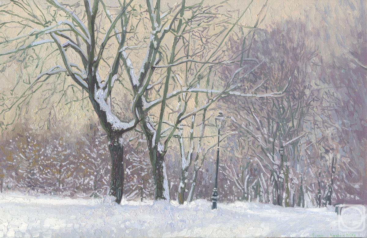 Kozhin Simon. Maple Alley in January