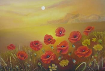 ������������ ����