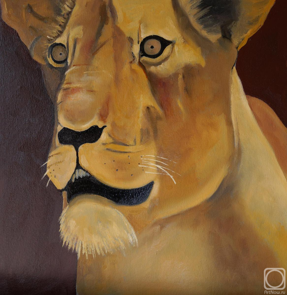 �������. ������������ �������. �����