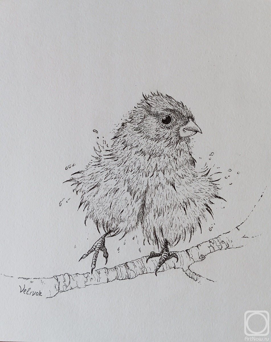 �������. ������� ������. ������ �������