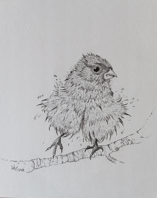 ������ �������. ������� ������