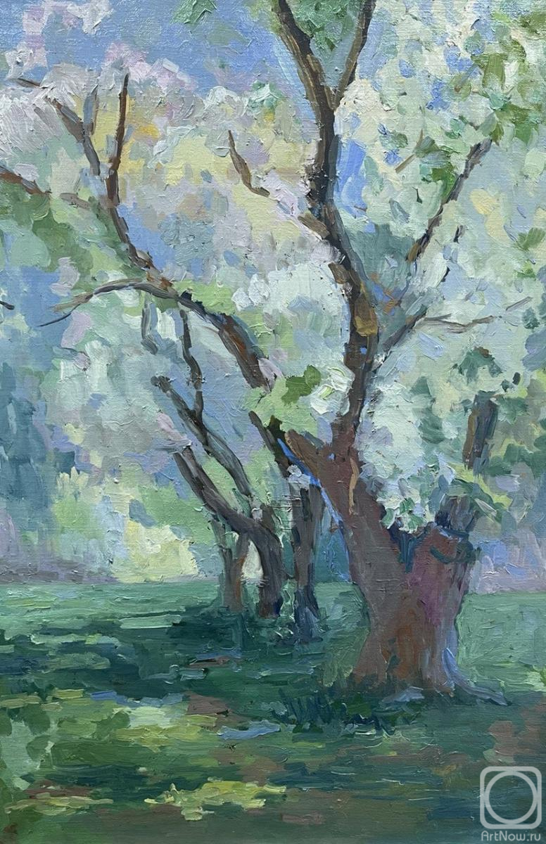 ������� ������ �� ������. ��������� �������. �������� ���