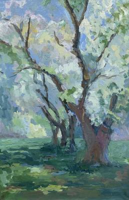 Blooming garden. Kuznetsova Natalya