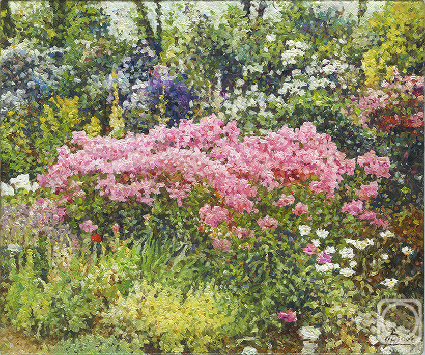 �������. �������� �����. �������