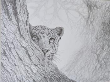 ������ �������. ������� ������