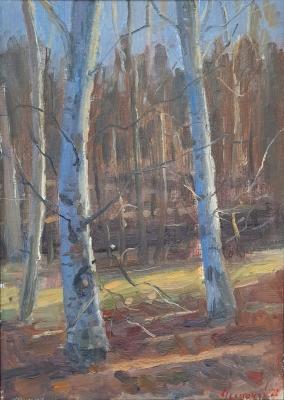 ���������. �������� �������