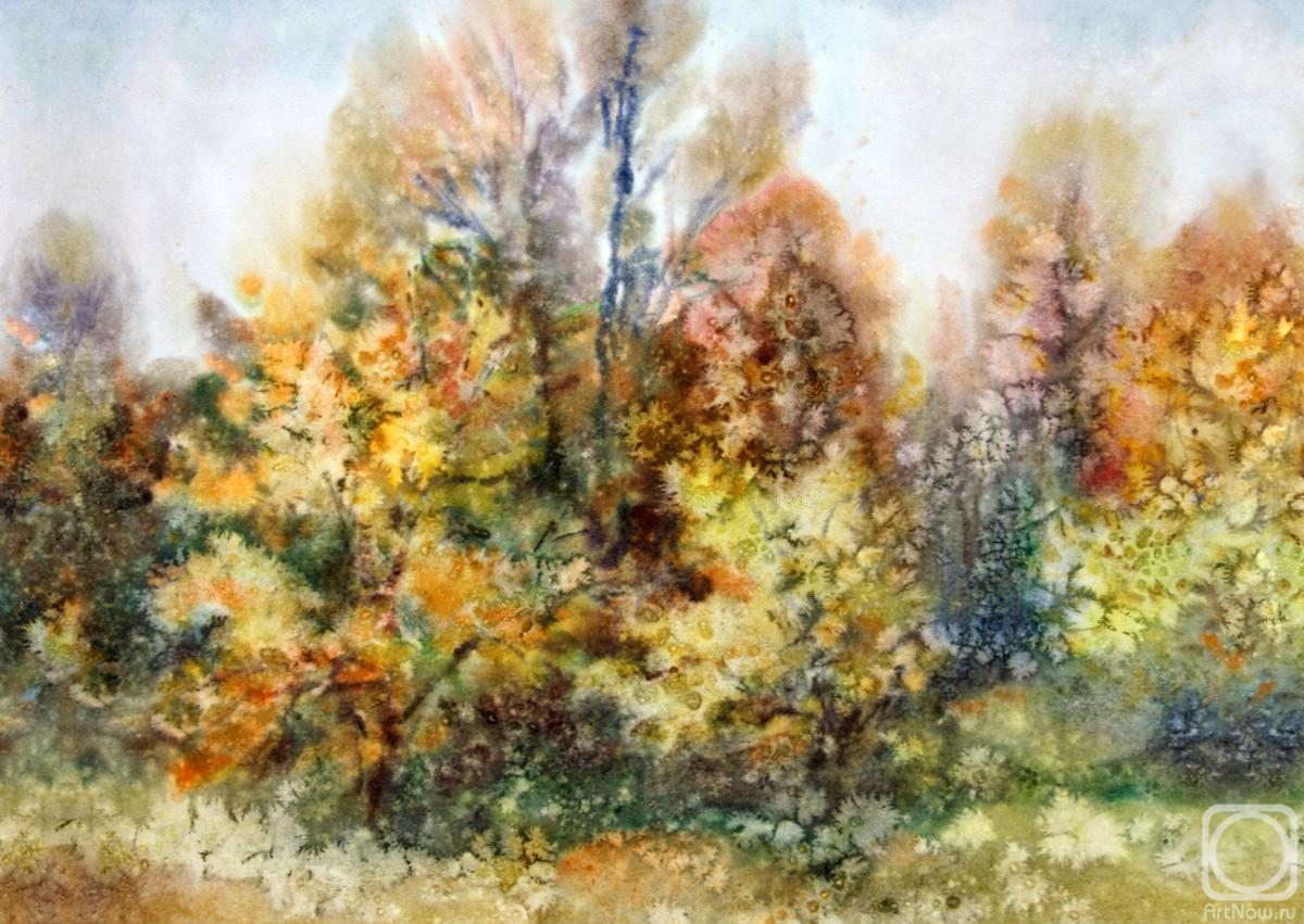 ���������� ���������. �����