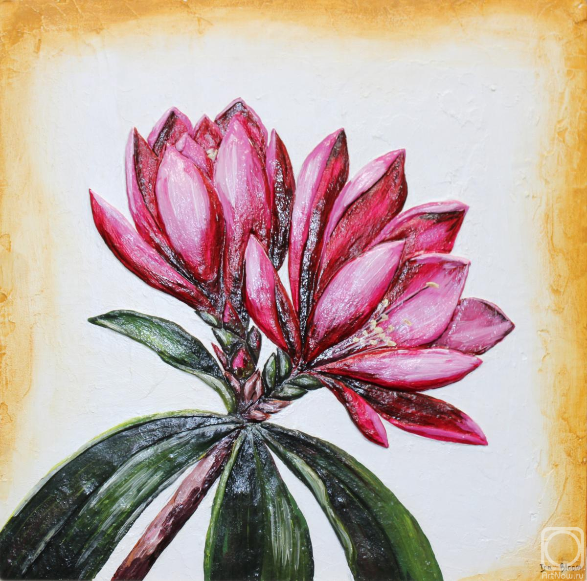 �������. ���������� �����. ������� ����� ��������