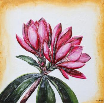 ������� ����� ��������