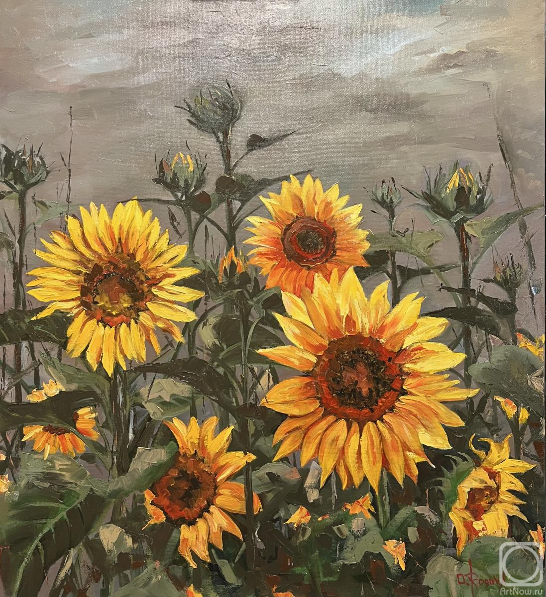 ������� ������ �� ������. ������ ������. ����������