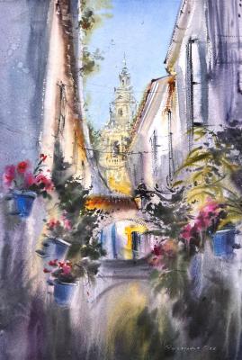 Flowers of Cordoba. Gorbacheva Evgeniya