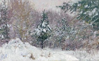 Snow-covered pine trees in Kuzminki Park. Kozhin Simon