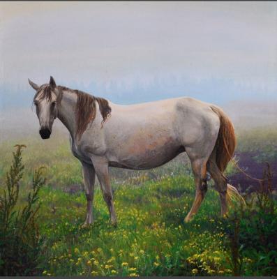 ����� �����������