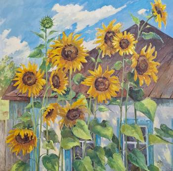 ������������ ���. �������� �������