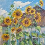 �������� �������.<br>������� ������������� ���