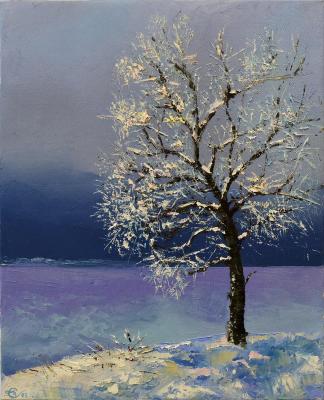 ������� ����. �������� �����