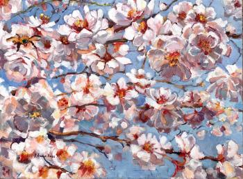 ����� �����. ������-����� �����