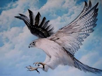 ������ ������� (������ �����). ������� ������