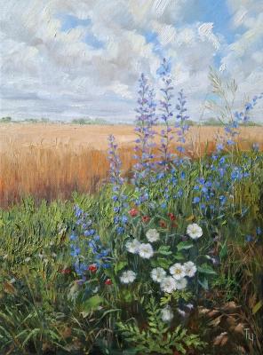 �� ���� ���� (�3). ��������� �������