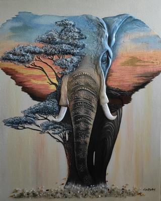 An elephant in the glow of the sunset