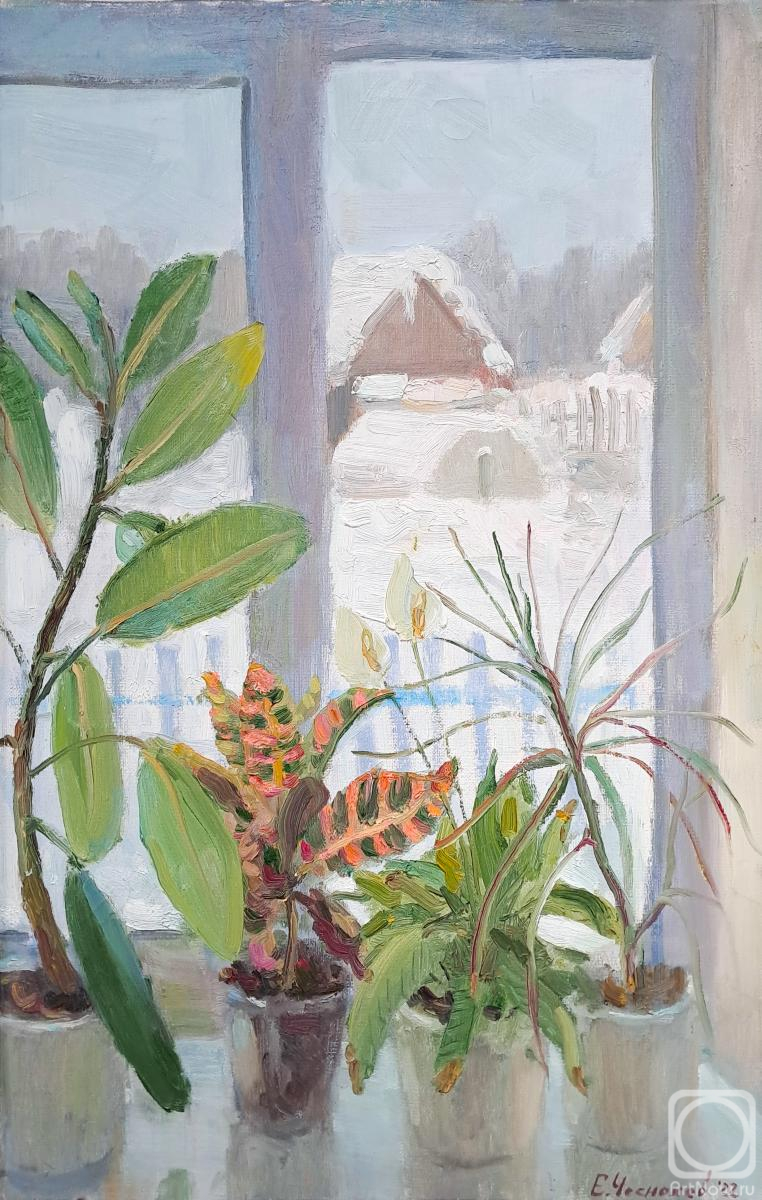 ������� ������ �� ������. �������� �������. ���� �����