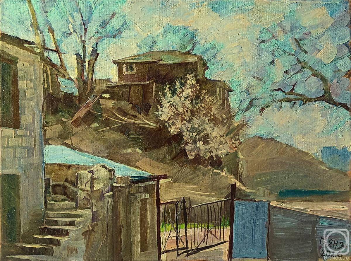 Dobrovolskaya Gayane. Tbilisi, the descent of the Samasi Aragveli, spring