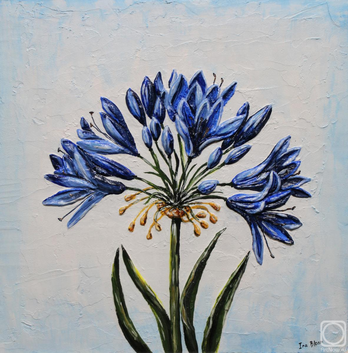 �������. ���� ���. ��������� ������