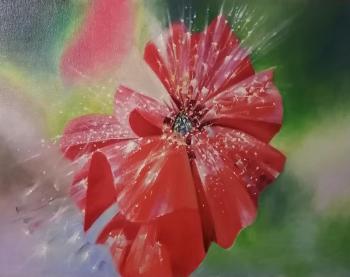 �������� ���. ��������� �����