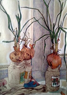 ���� �������. ������� ���������