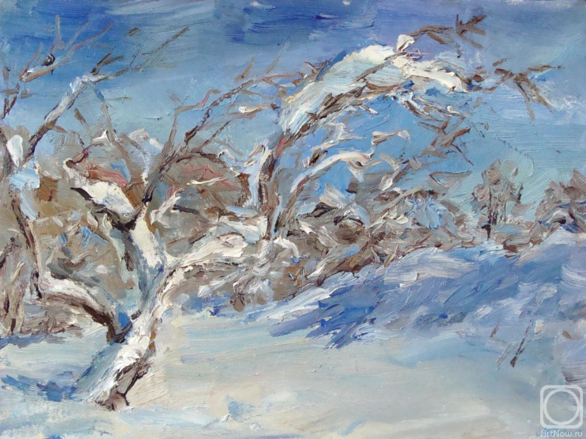 Novikova Marina. Untitled