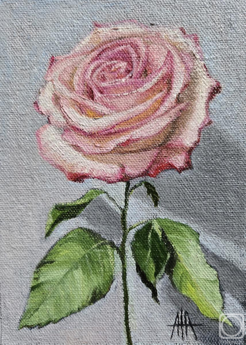 �������. ����� ����. �������