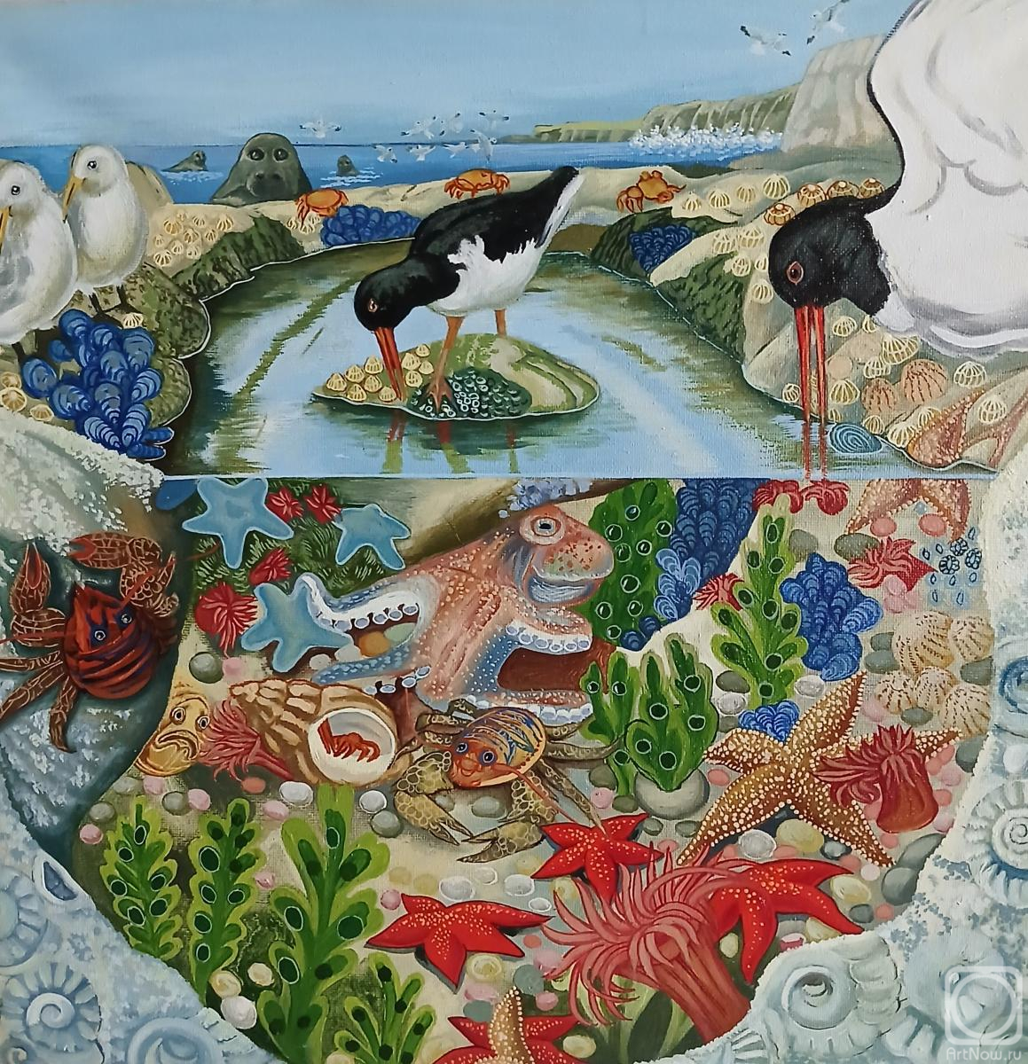 ������� ������ �� ������. �������� �����. ���������� ����� ��������